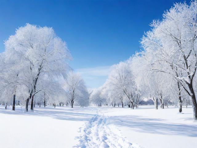 深入了解看雪论坛课程的独特教学理念